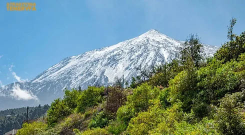 Mikroklimaty Teneryfy: Dlaczego wyspa jest tak zróżnicowana?